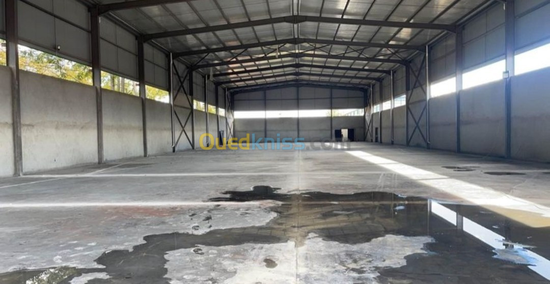 Location Hangar Blida Boufarik