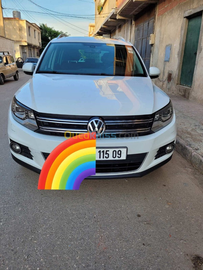 Volkswagen Tiguan 2015 Cup