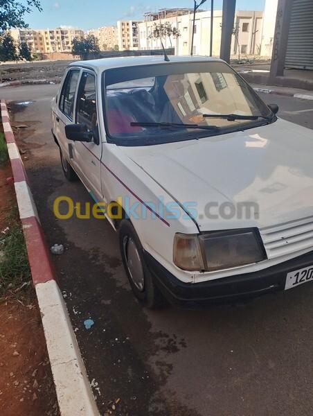 Peugeot 309 1989 309