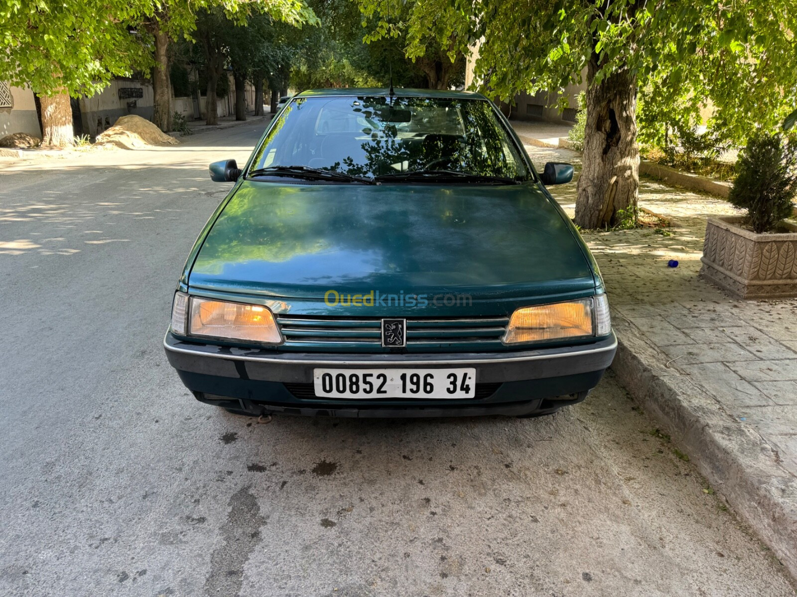 Peugeot 405 1996 405