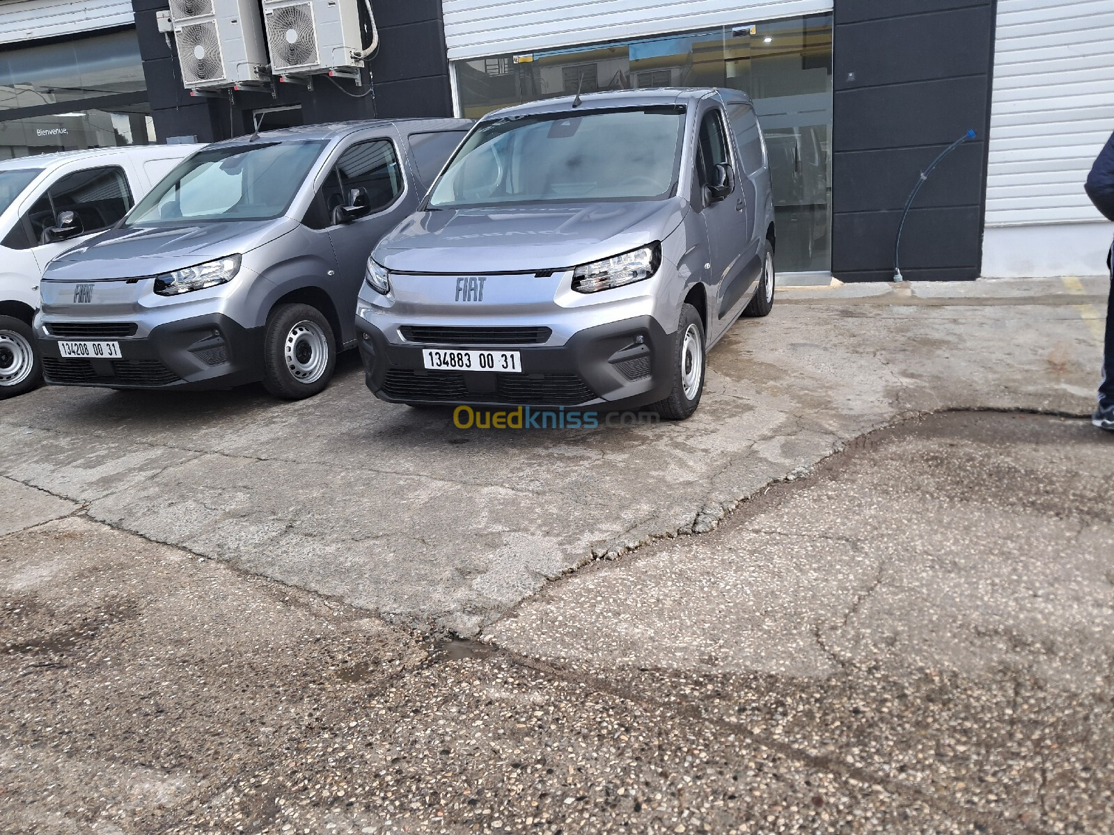 Fiat Doblo 2024 New Van Confort