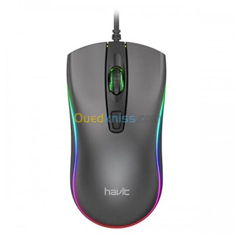 Souris Havit MS72-RGB