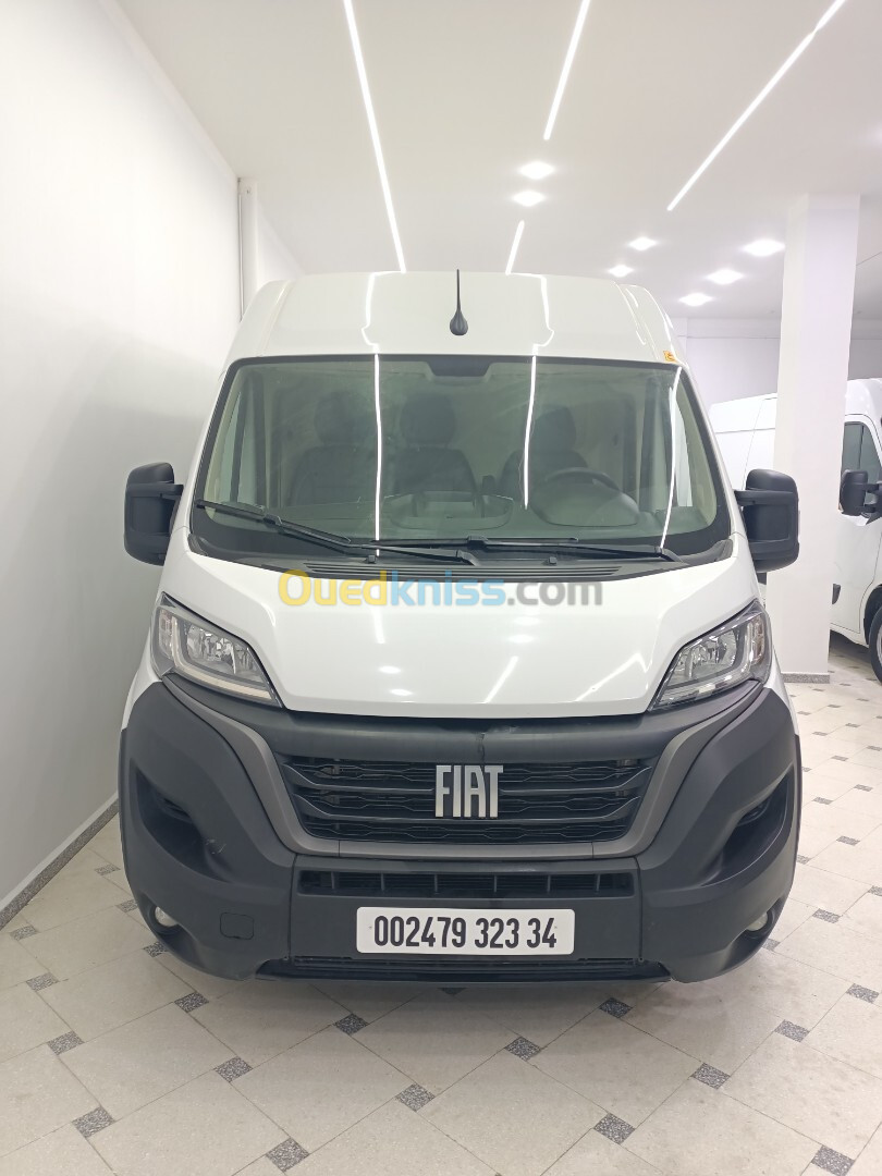 Fiat Ducato 3 panneau 2023