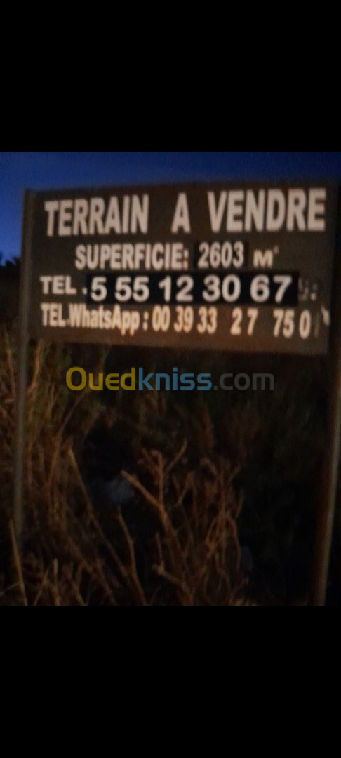 Vente Terrain Tizi Ouzou Azazga