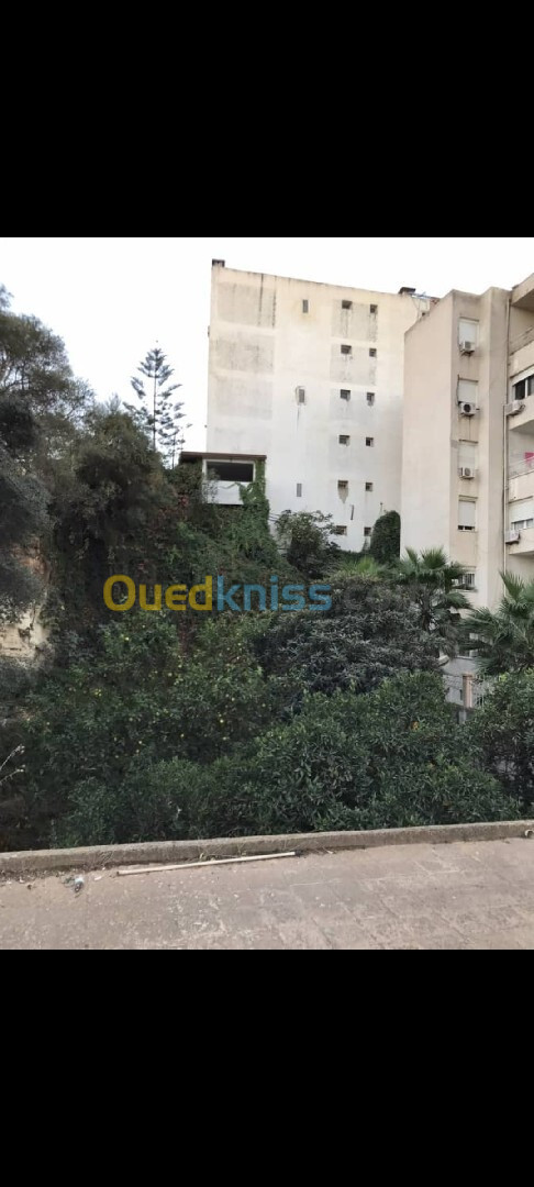 Vente Terrain Alger Bir mourad rais