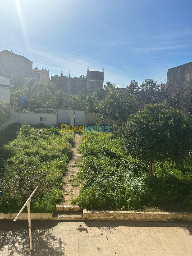 Vente Terrain Alger Birkhadem