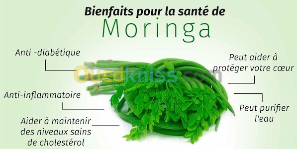 MORINGA PREMUIM BIO 2024