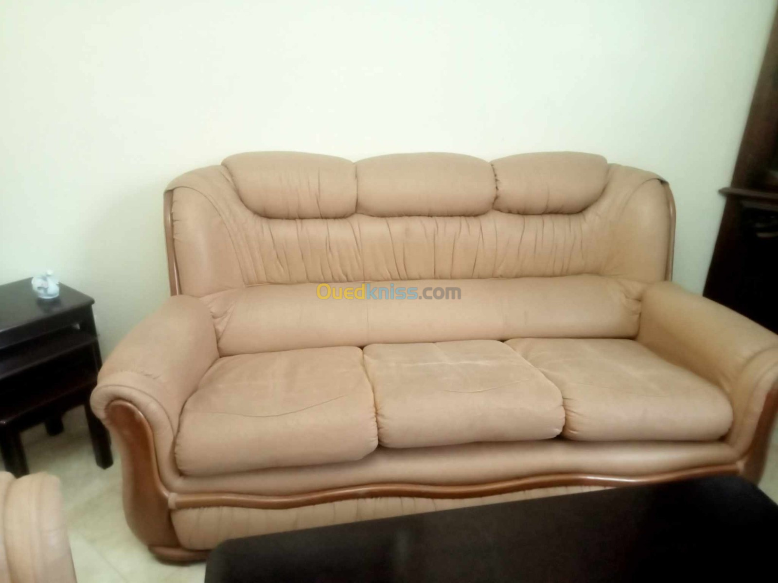 Fauteuil salon beige 