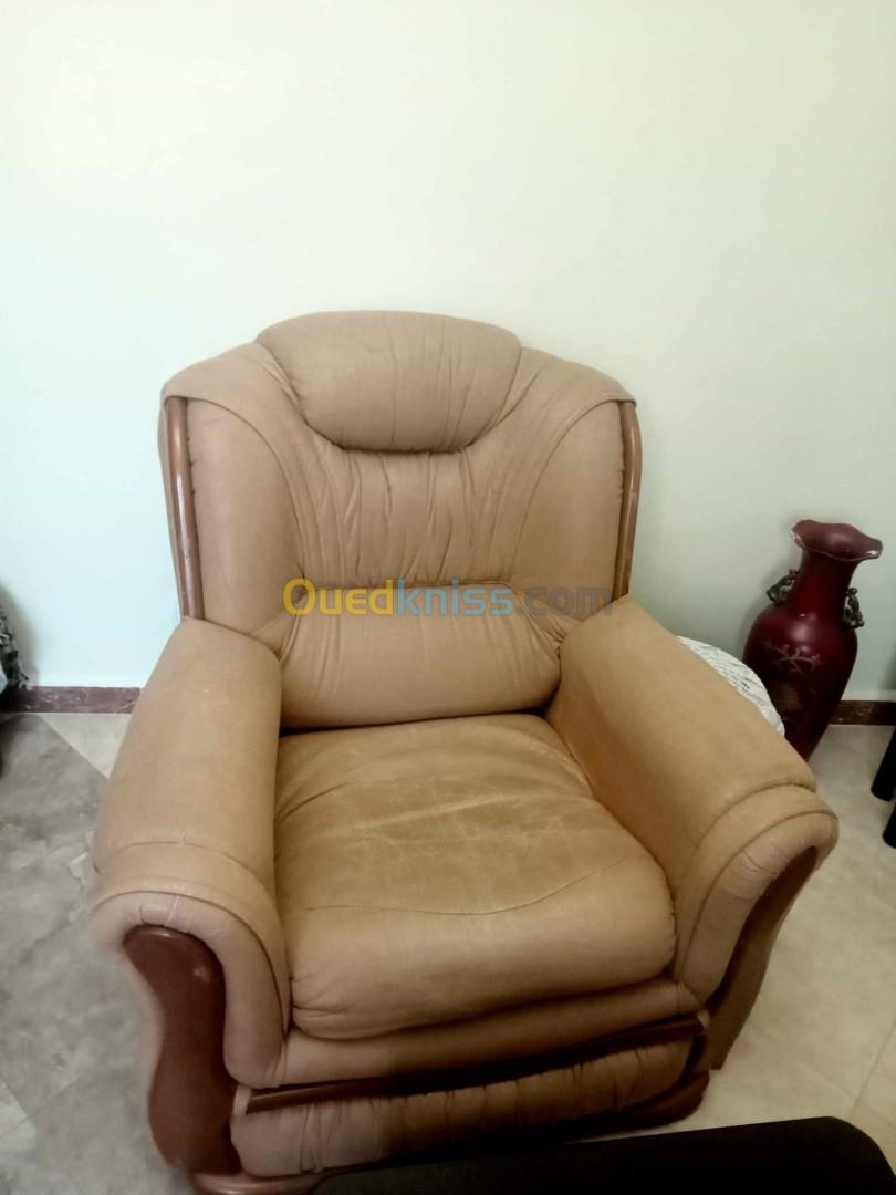 Fauteuil salon beige 