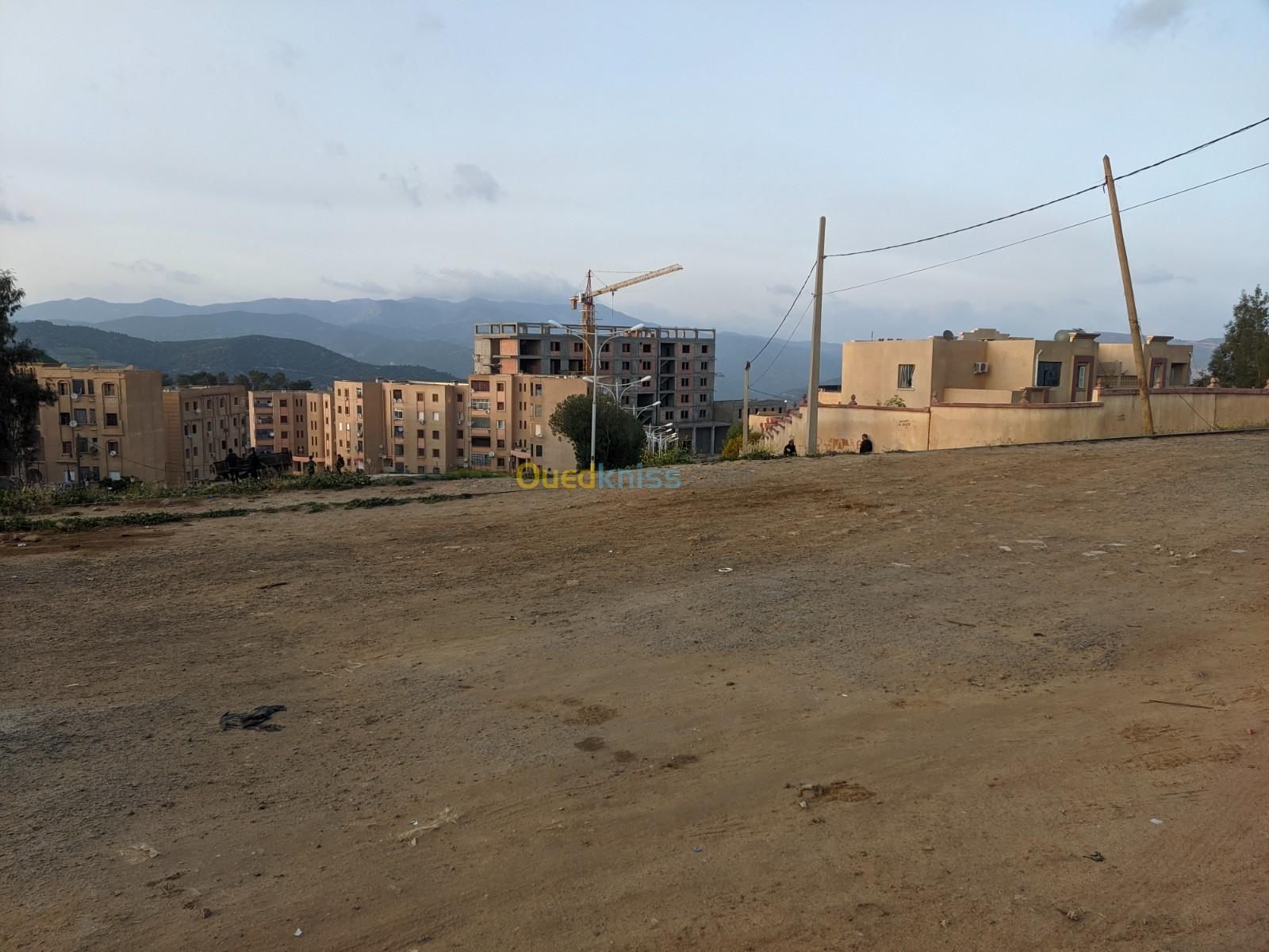 Location Hangar Médéa Ouzera