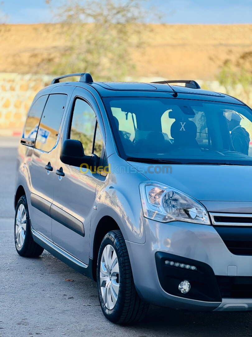 Citroen Berlingo 2017 Berlingo