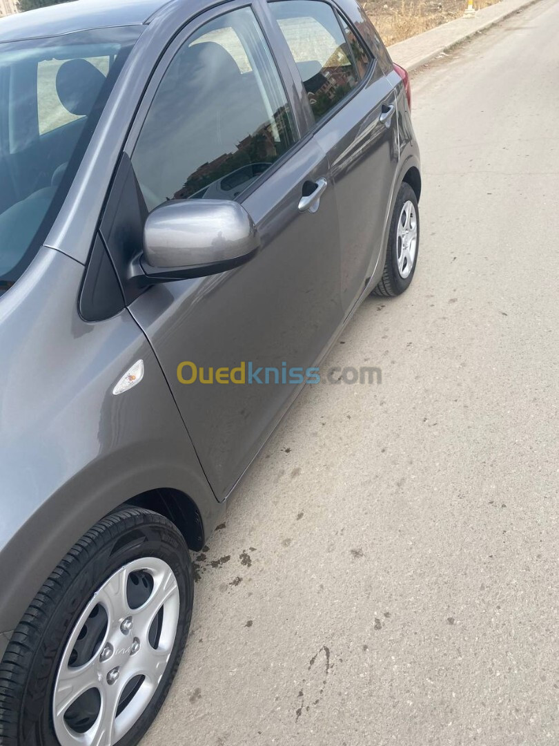 Kia picanto 2023 picanto