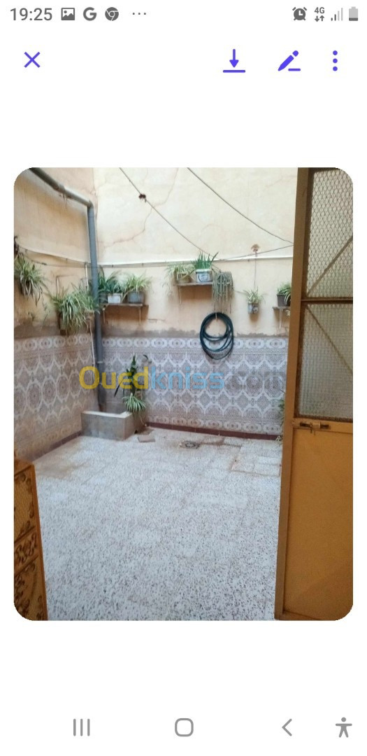 Vente Villa Naama Mecheria