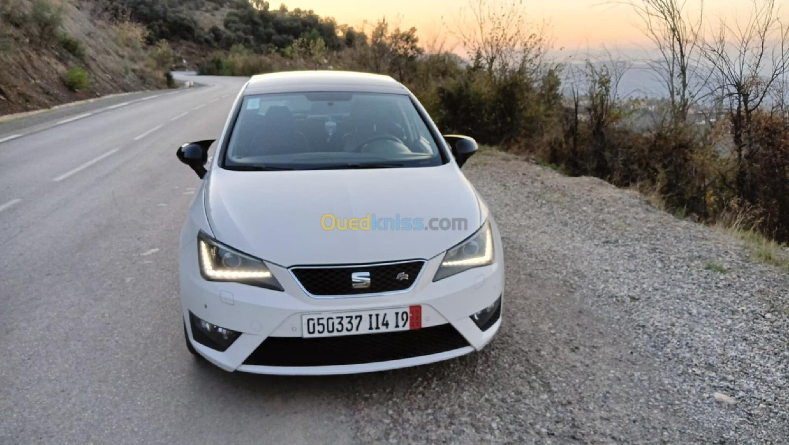 Seat Ibiza 2014 