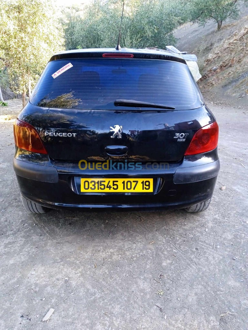 Peugeot 307 2007 Oxygo