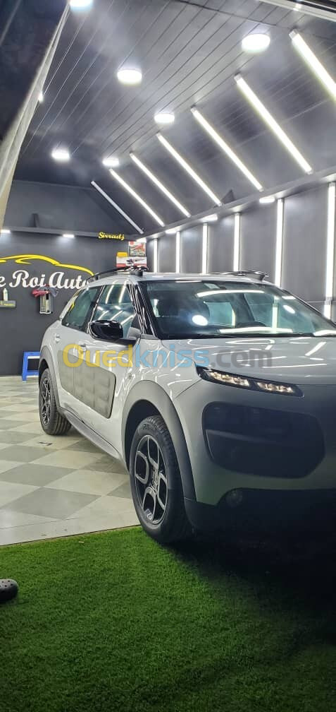 Citroen C4 Cactus 2015 