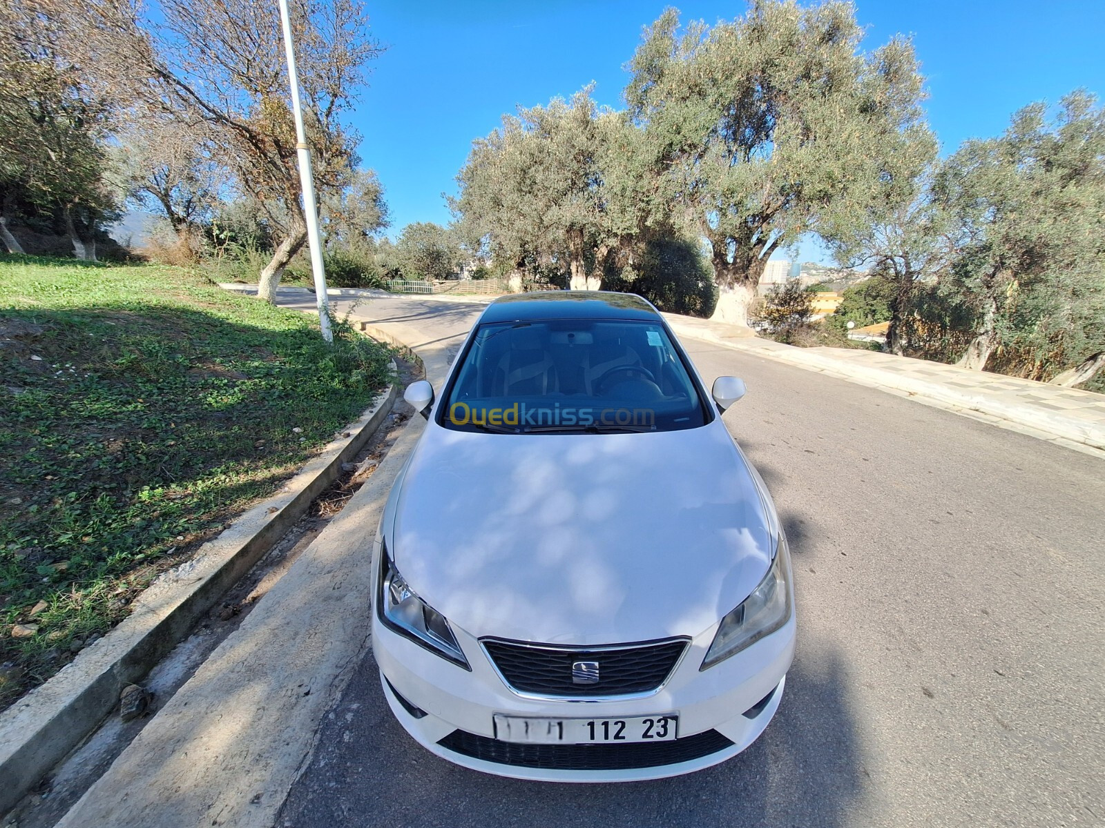 Seat Ibiza 2012 Fully