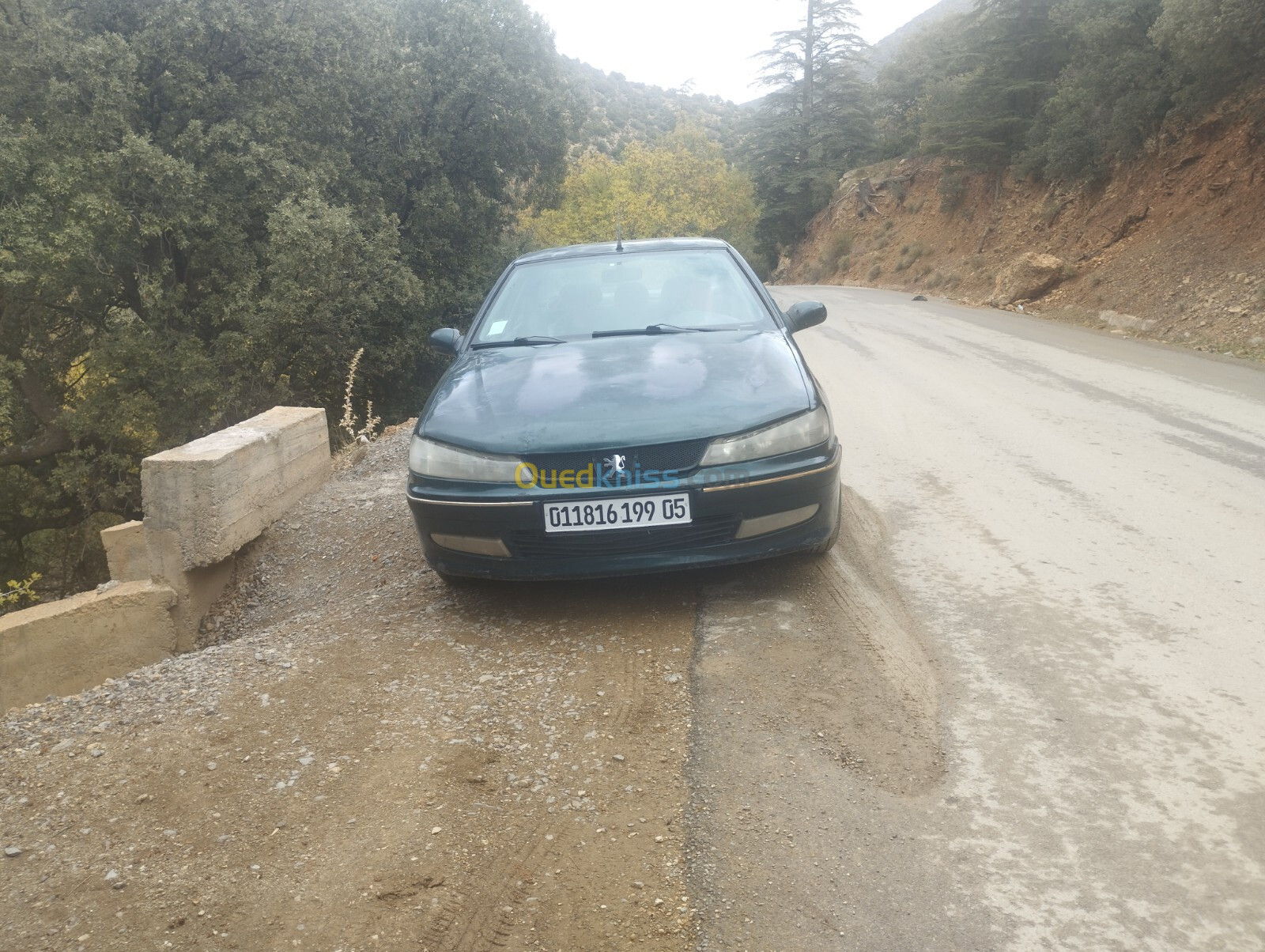 Peugeot 406 1999 406