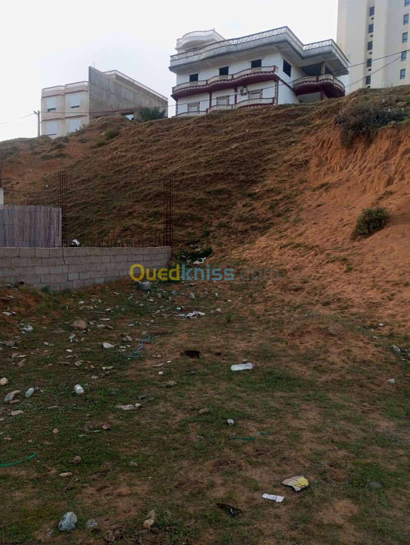 Vente Terrain Skikda Filfla