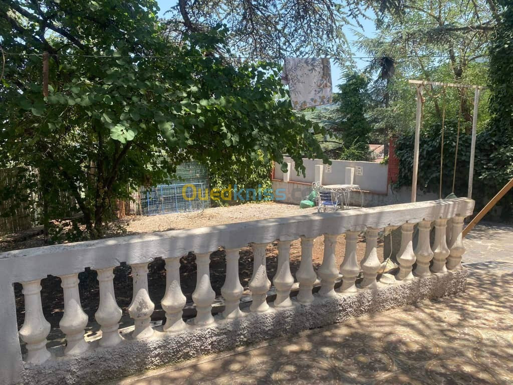 Location Bungalow Blida Chrea