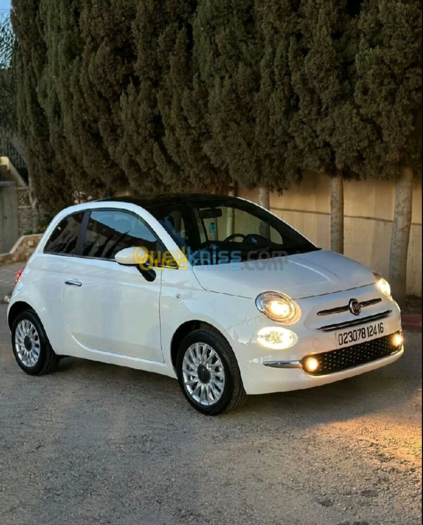 Fiat 500 2024 Club