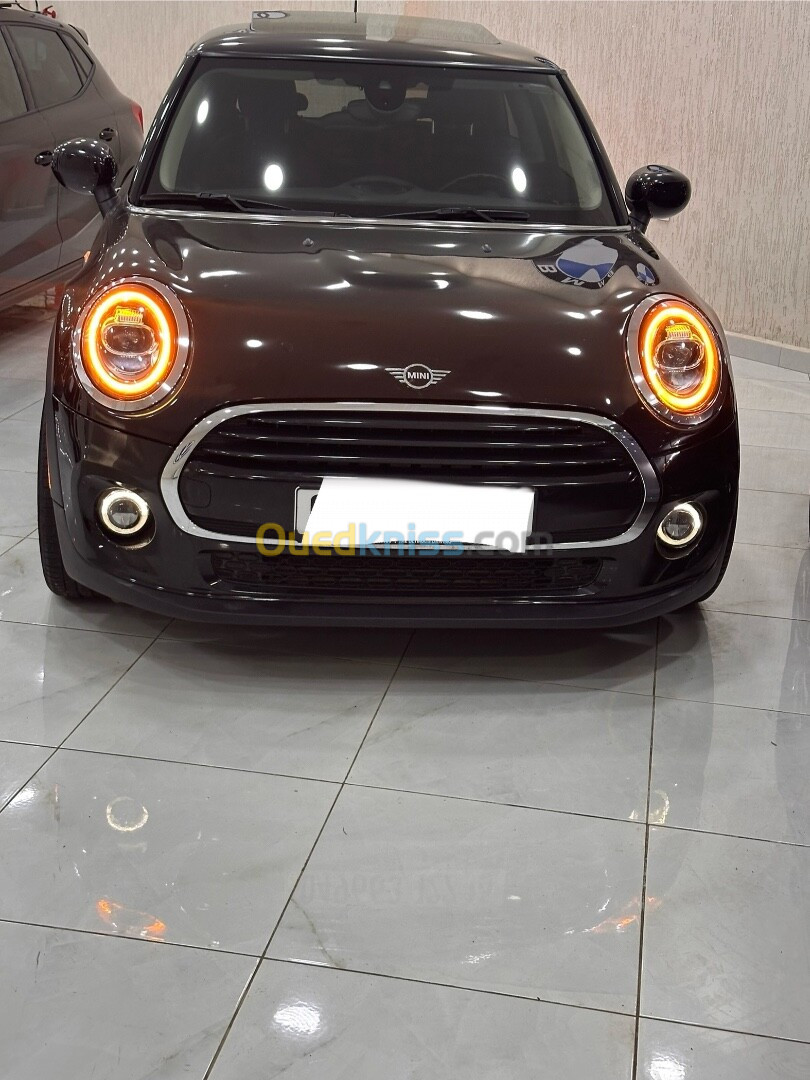 Mini Mini 2022 