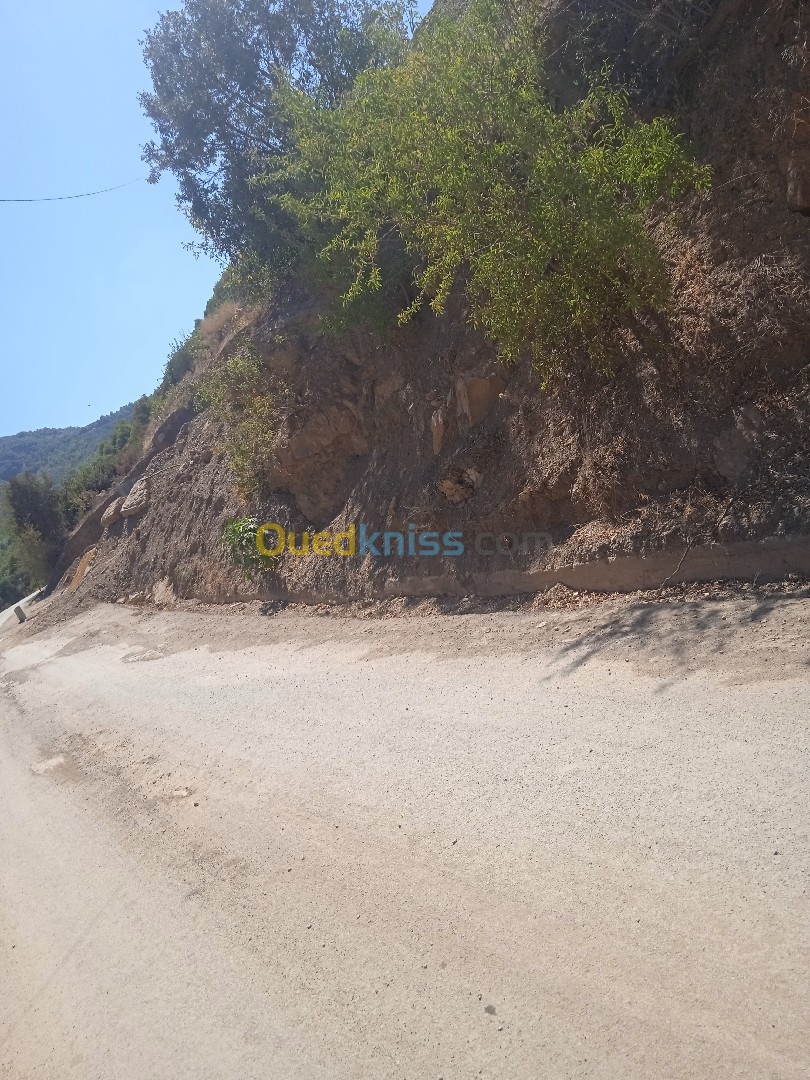 Vente Terrain Tipaza Larhat