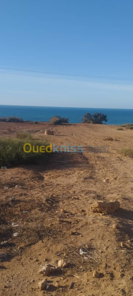 Vente Terrain Mostaganem Abdelmalek ramdane