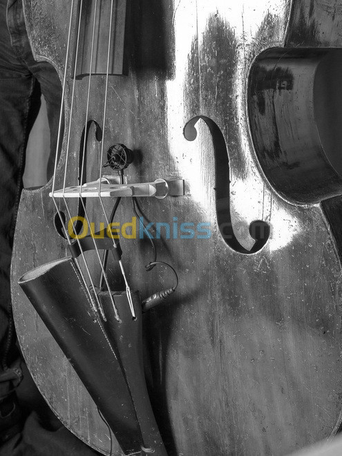 Micros instruments CL21 Lanen Cello