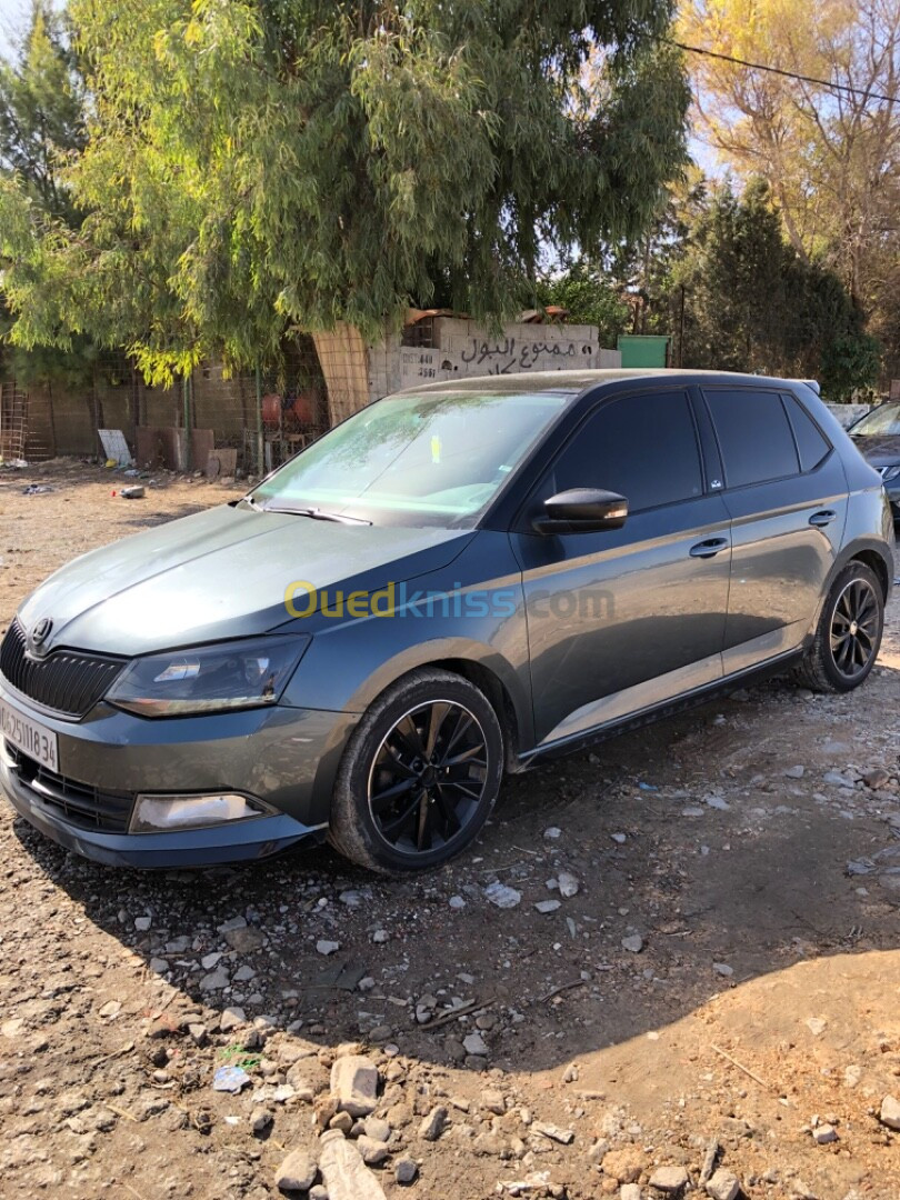 Skoda Fabia 2018 Monte Carlo