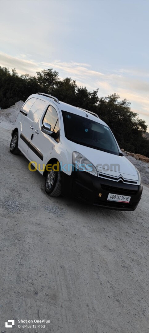 Citroen Berlingo 2017 Berlingo