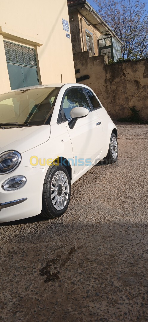 Fiat 500 club Dz la toute 2024 Club Dz