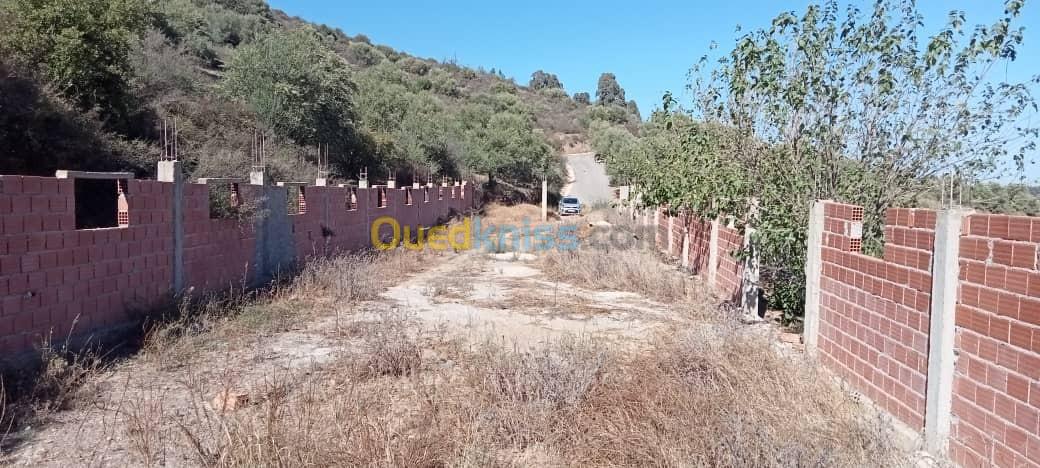 Vente Terrain Boumerdès Beni amrane