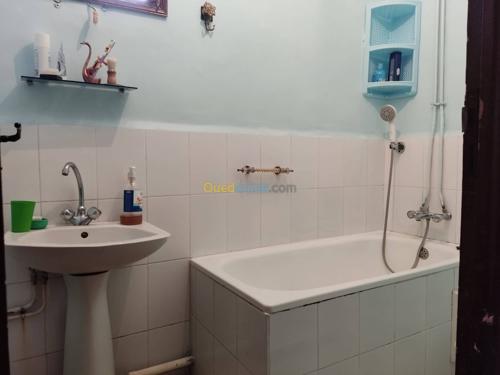 Location Appartement F04 Alger Les eucalyptus