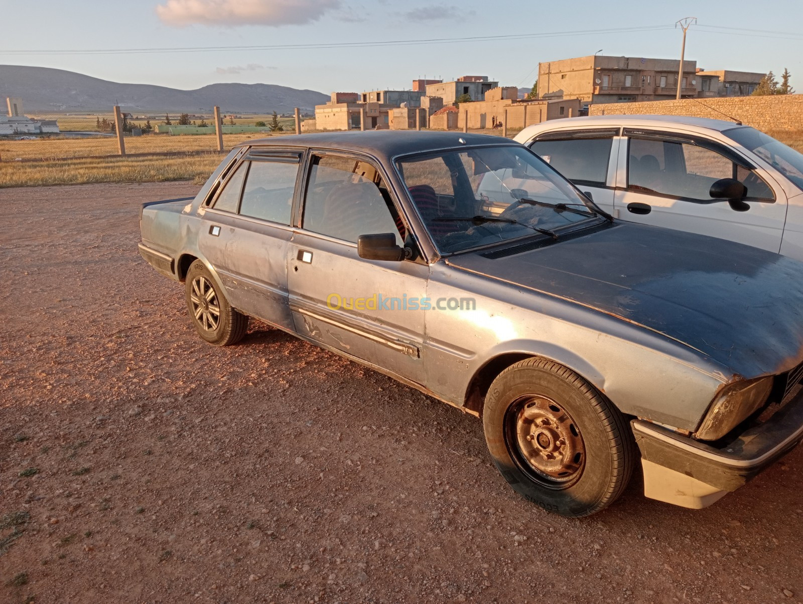 Peugeot 505 1986 505