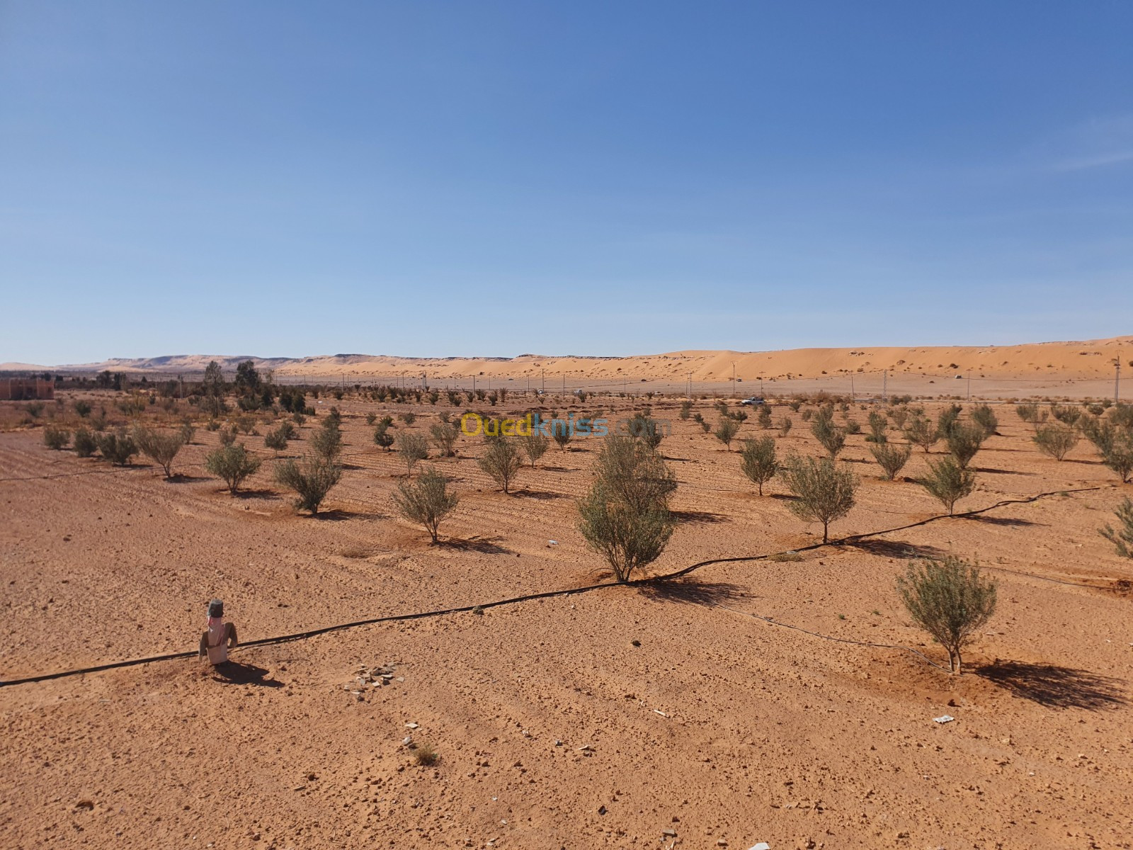 Vente Terrain Agricole Bechar Bechar