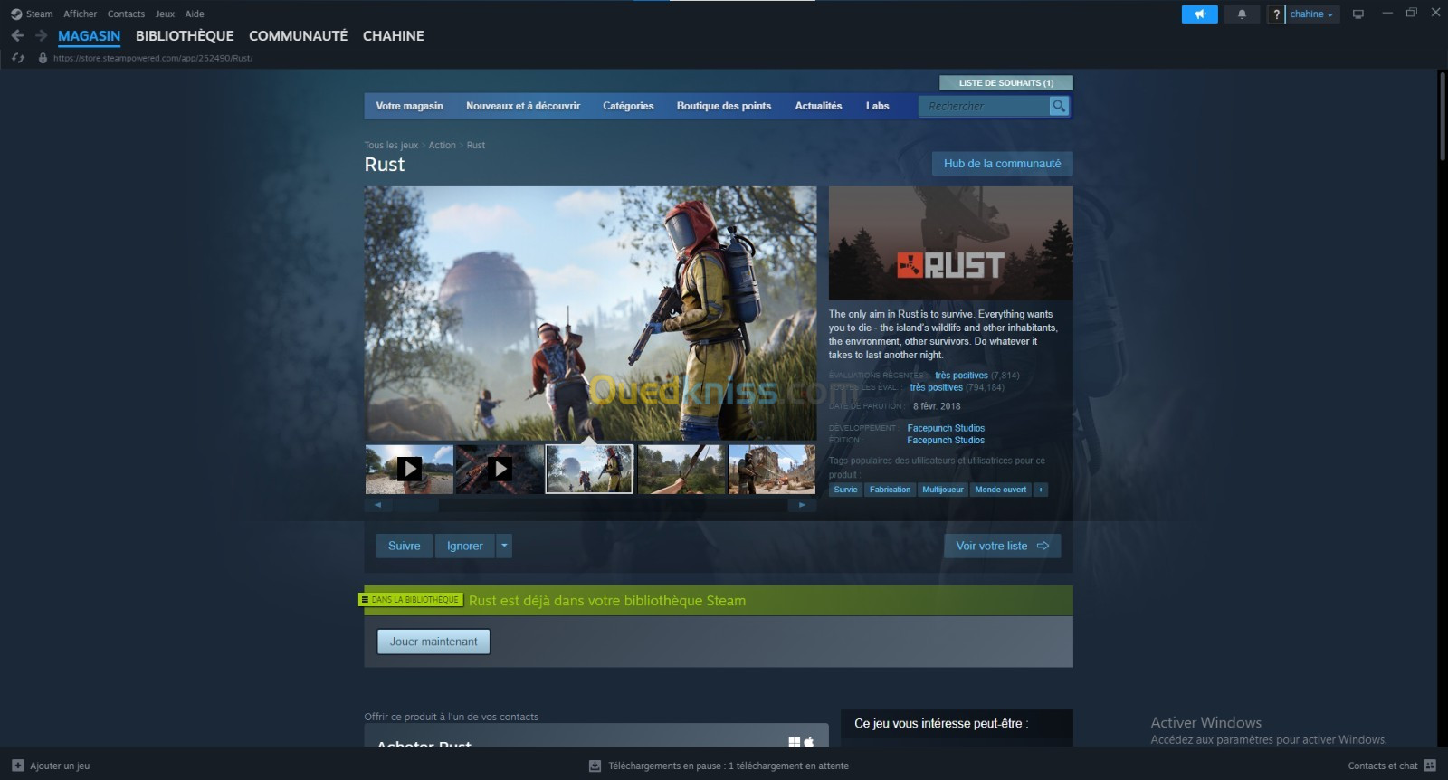 Rust pc Steam Europe très bon prix 