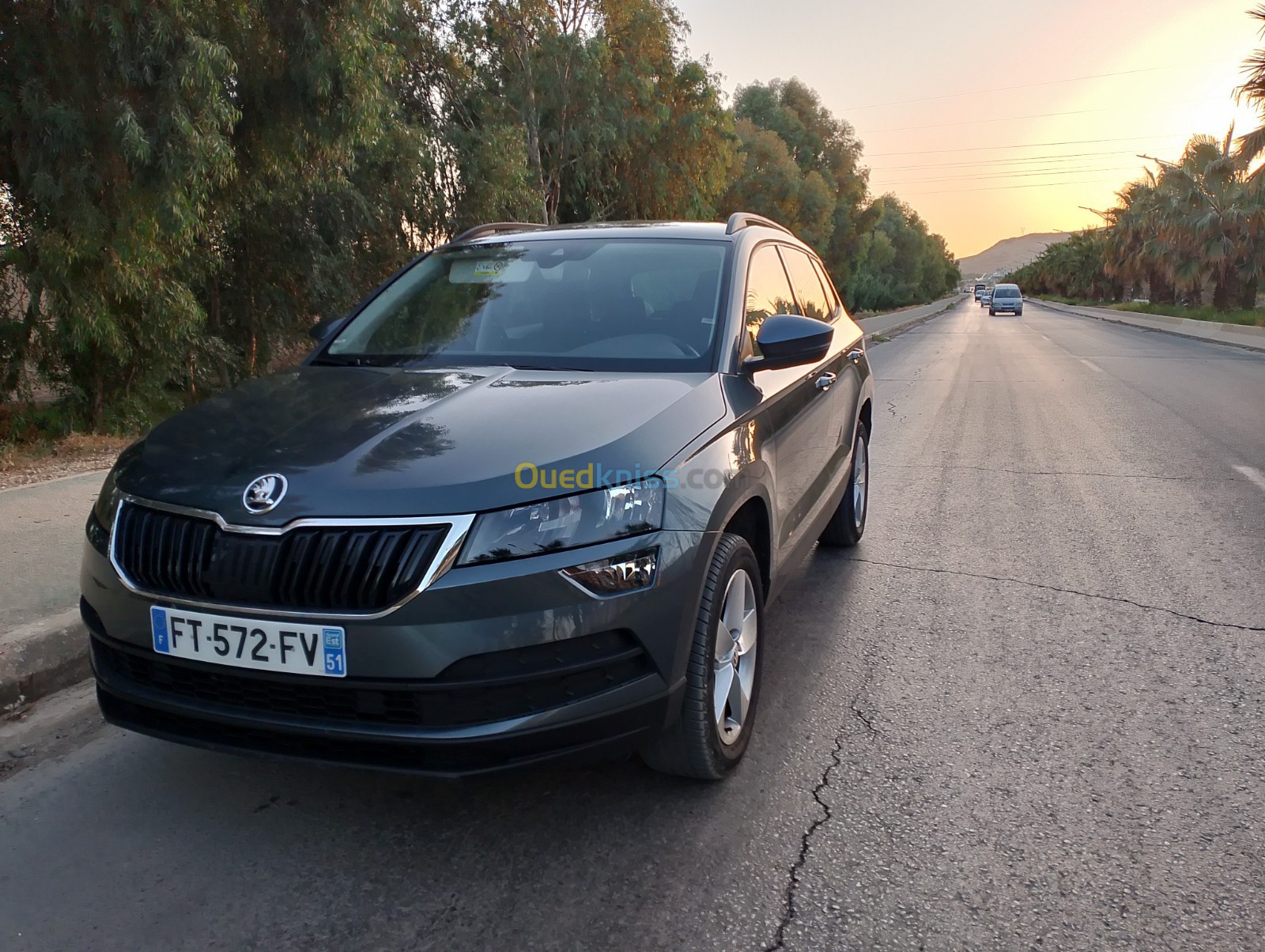 Skoda Karoq 2020 Business