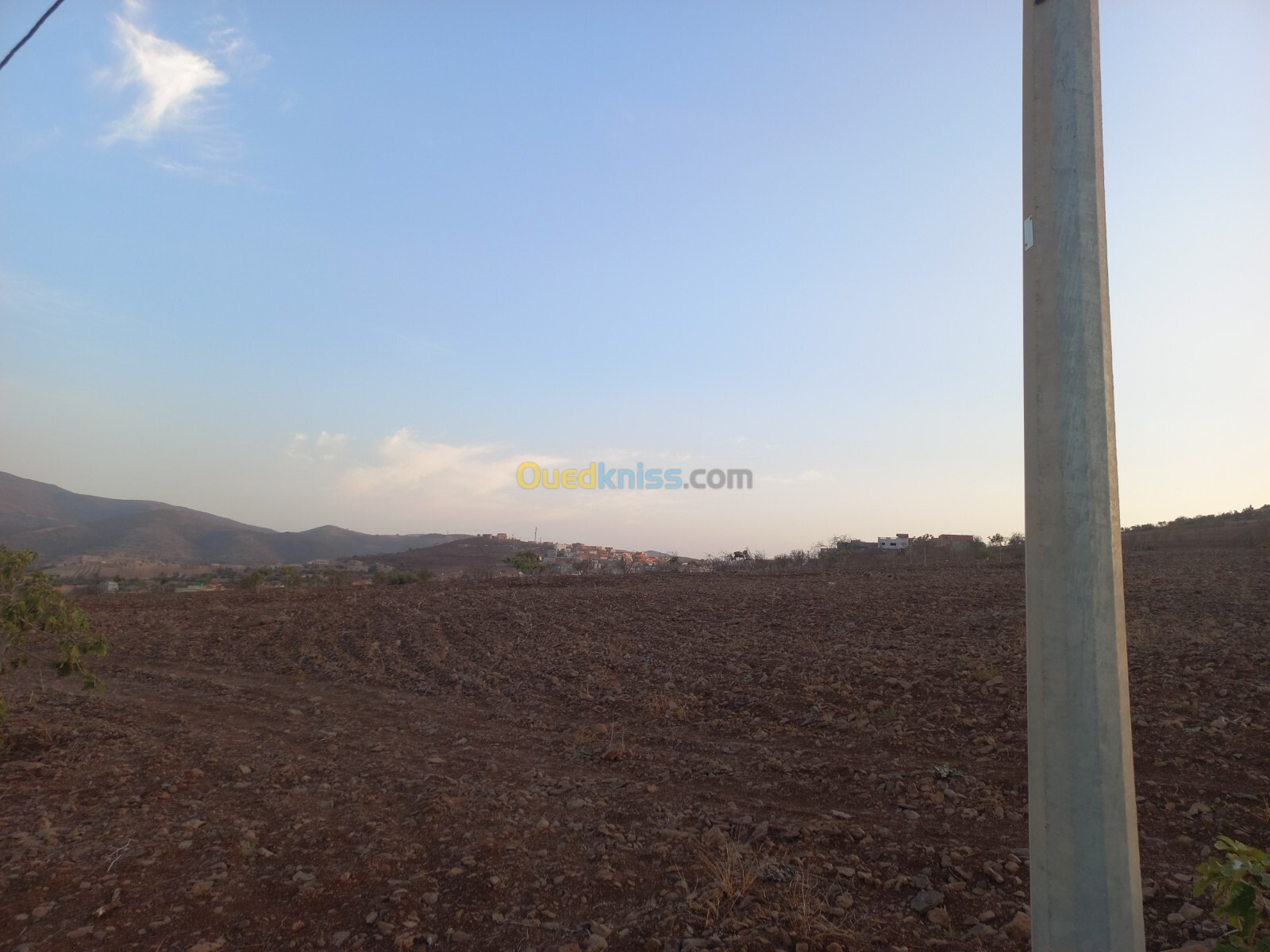 Vente Terrain Agricole Tlemcen Djebala