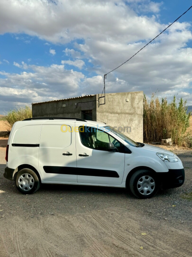 Peugeot Partner 2013 Tepee