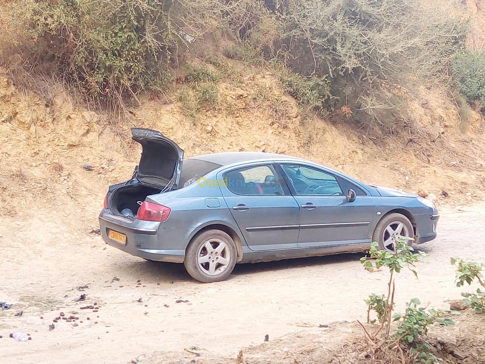 Peugeot 407 2004 