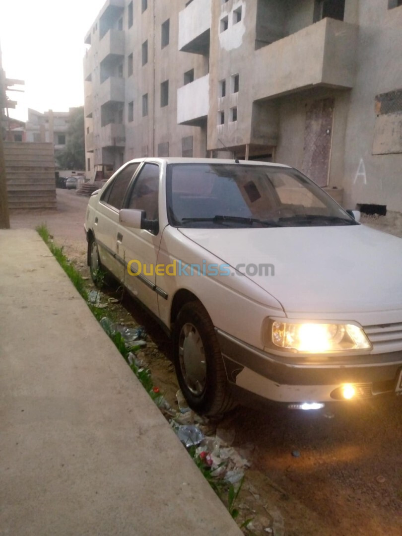 Peugeot 405 1991 405