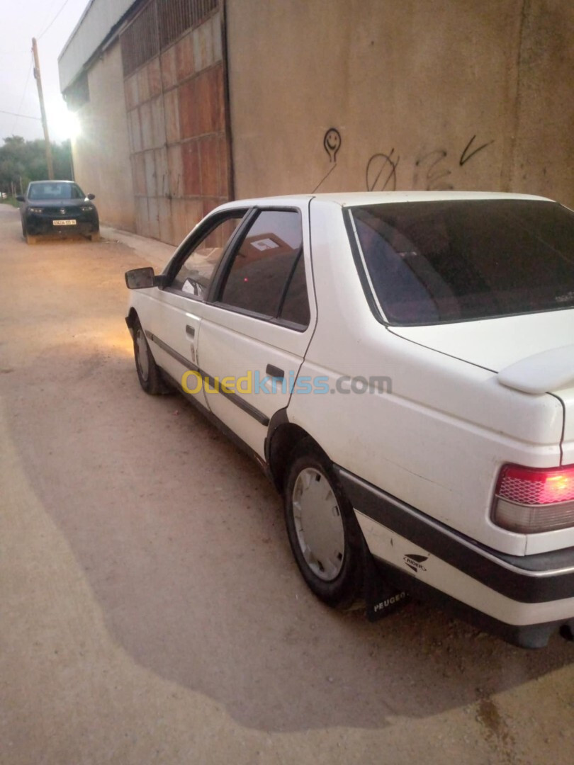 Peugeot 405 1991 405