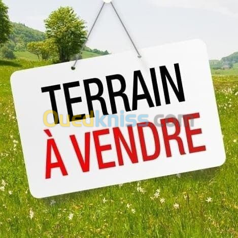 Vente Terrain Alger Bordj el kiffan