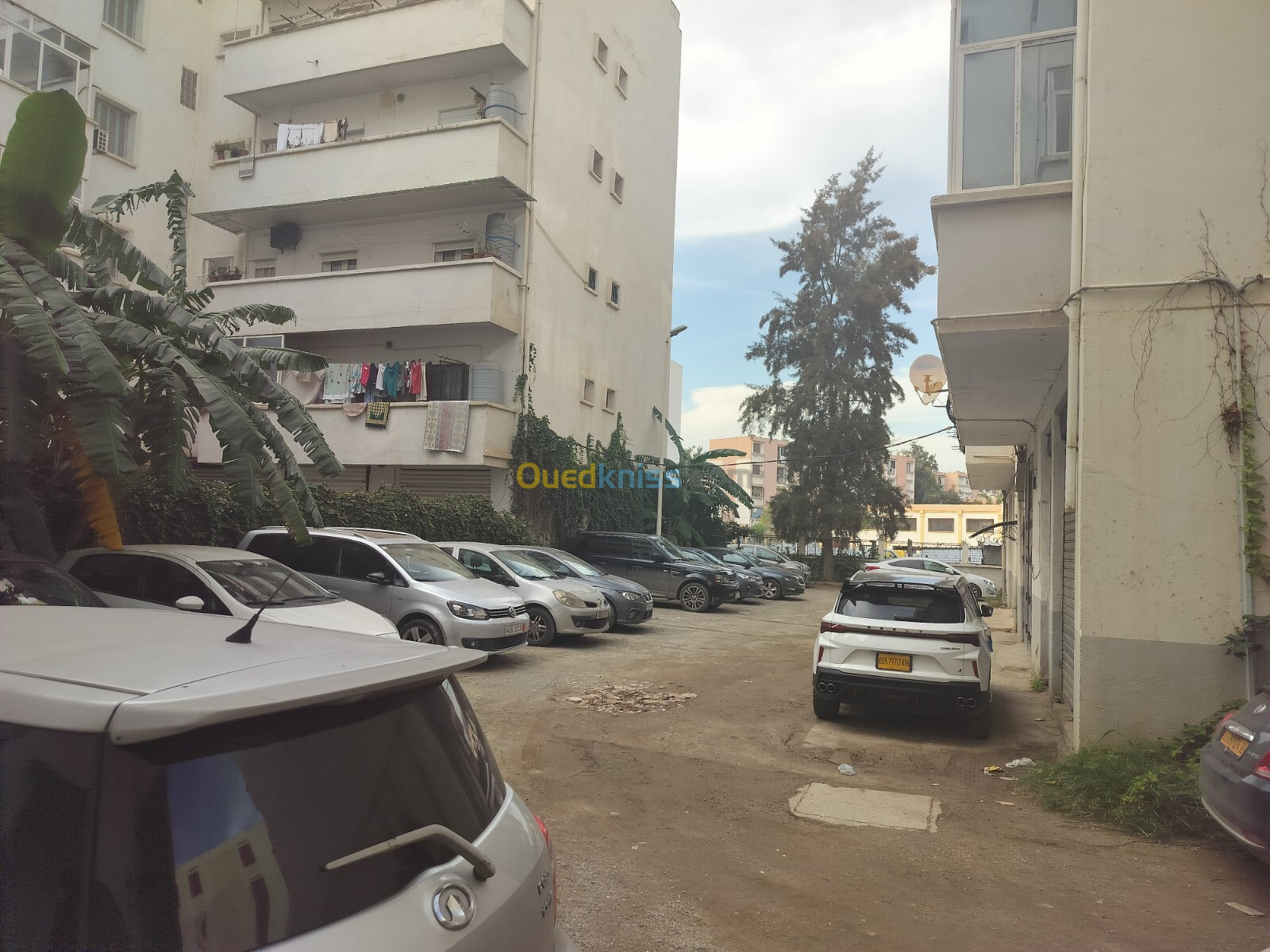 Location Appartement F3 Alger Bab ezzouar