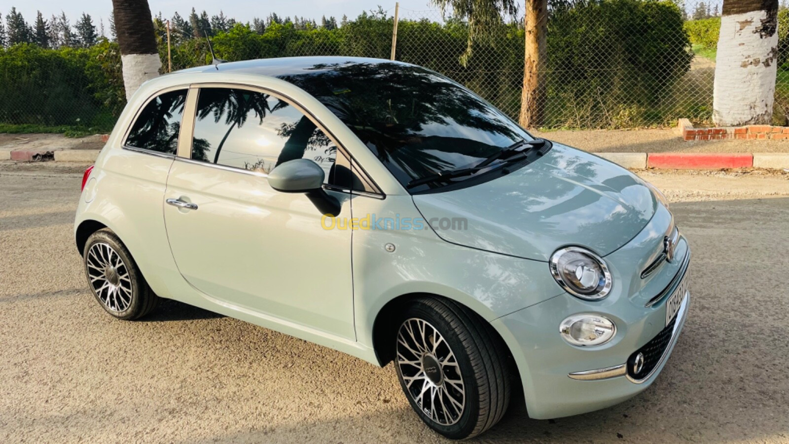 Fiat 500 2024 Doclevita