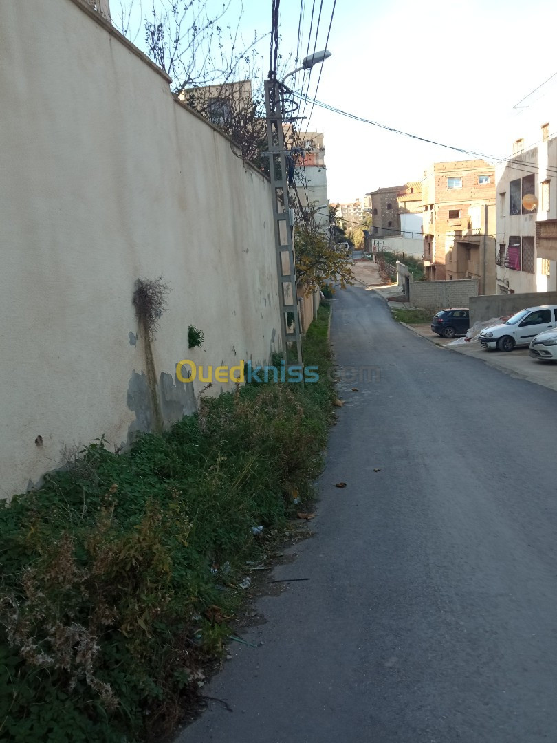 Vente Terrain Alger Bouzareah