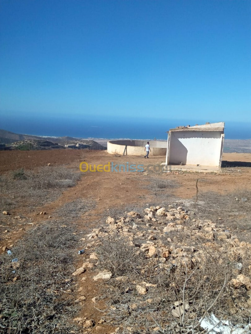 Vente Terrain Oran Bousfer