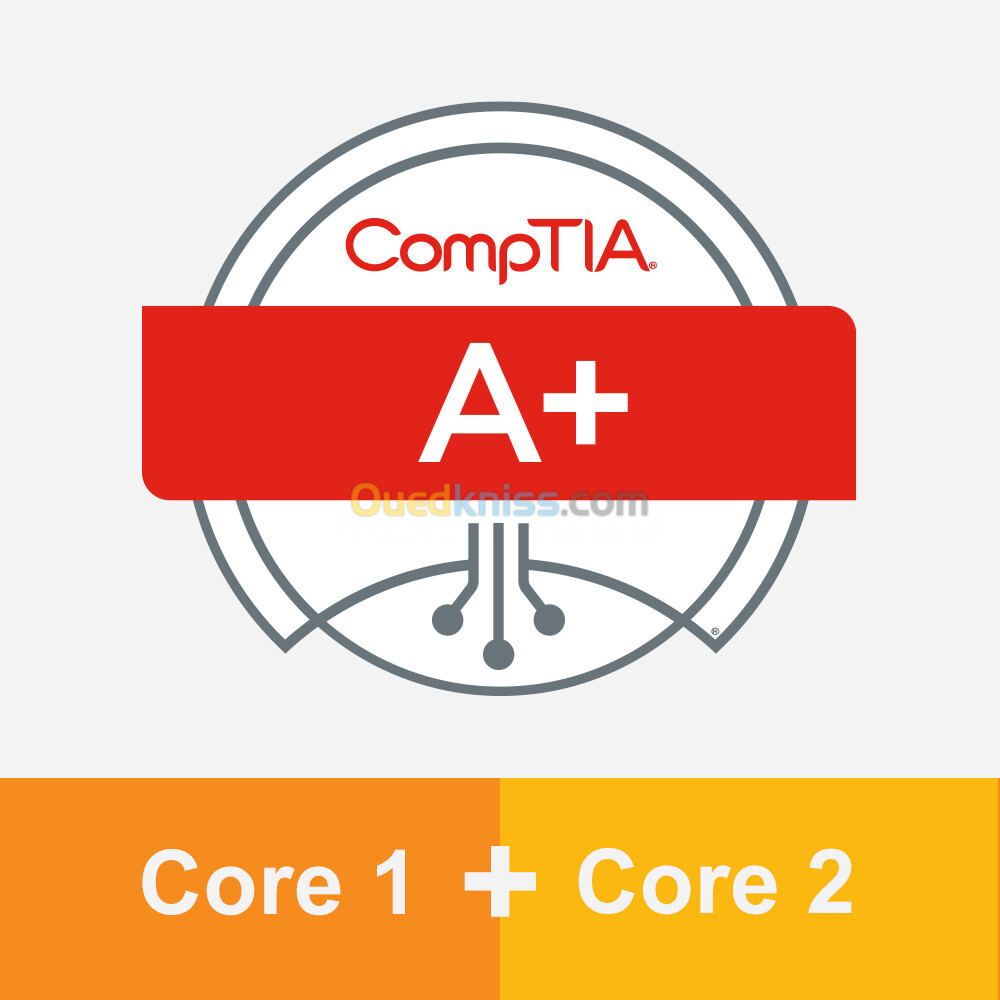 Comptia A+ core 1 + core 2 English 28 GB USB 