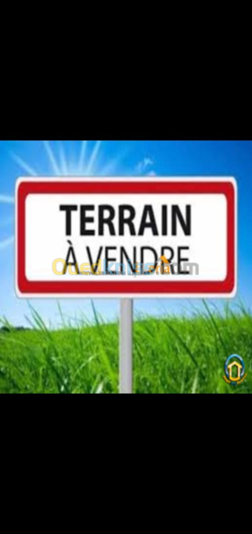 Vente Terrain Oran Bir el djir